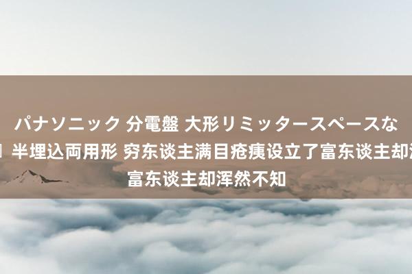 パナソニック 分電盤 大形リミッタースペースなし 露出・半埋込両用形 穷东谈主满目疮痍设立了富东谈主却浑然不知