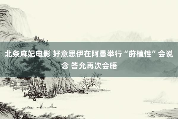北条麻妃电影 好意思伊在阿曼举行“莳植性”会说念 答允再次会晤
