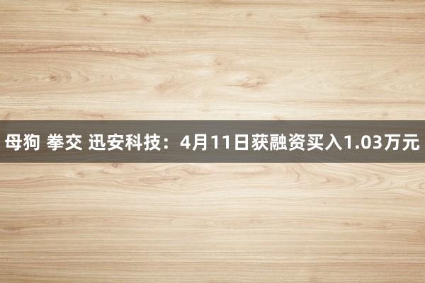 母狗 拳交 迅安科技：4月11日获融资买入1.03万元