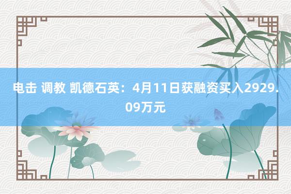电击 调教 凯德石英：4月11日获融资买入2929.09万元