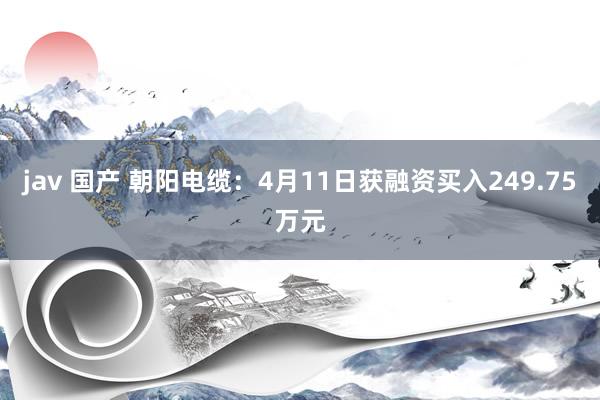 jav 国产 朝阳电缆：4月11日获融资买入249.75万元