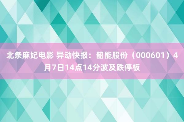 北条麻妃电影 异动快报：韶能股份（000601）4月7日14点14分波及跌停板