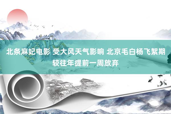 北条麻妃电影 受大风天气影响 北京毛白杨飞絮期较往年提前一周放弃
