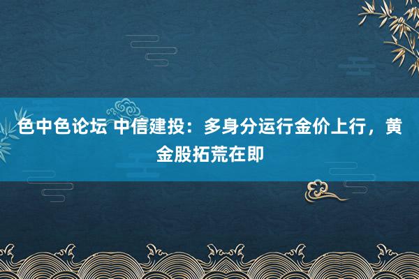色中色论坛 中信建投：多身分运行金价上行，黄金股拓荒在即