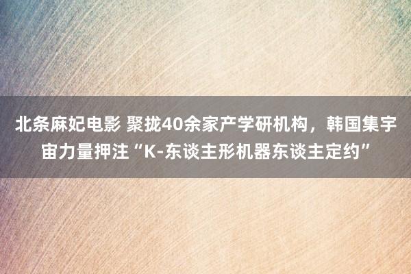 北条麻妃电影 聚拢40余家产学研机构，韩国集宇宙力量押注“K-东谈主形机器东谈主定约”