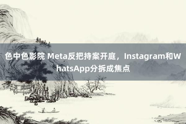 色中色影院 Meta反把持案开庭，Instagram和WhatsApp分拆成焦点