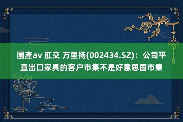 國產av 肛交 万里扬(002434.SZ)：公司平直出口家具的客户市集不是好意思国市集