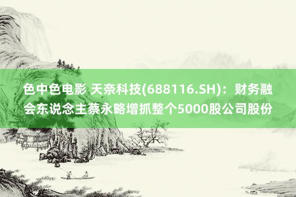 色中色电影 天奈科技(688116.SH)：财务融会东说念主蔡永略增抓整个5000股公司股份