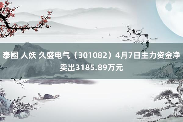 泰國 人妖 久盛电气（301082）4月7日主力资金净卖出3185.89万元