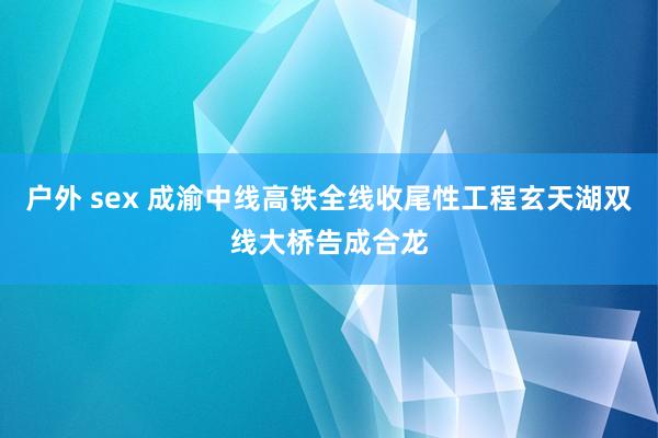 户外 sex 成渝中线高铁全线收尾性工程玄天湖双线大桥告成合龙