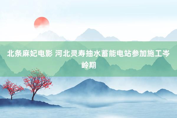 北条麻妃电影 河北灵寿抽水蓄能电站参加施工岑岭期