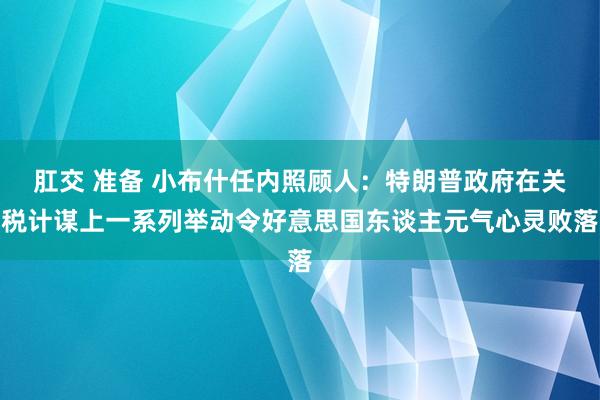 肛交 准备 小布什任内照顾人：特朗普政府在关税计谋上一系列举动令好意思国东谈主元气心灵败落