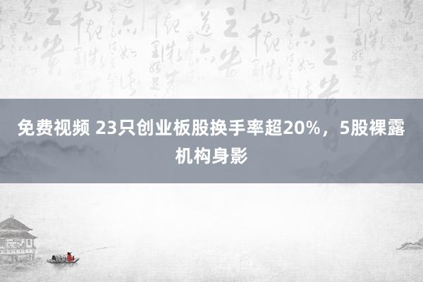 免费视频 23只创业板股换手率超20%，5股裸露机构身影