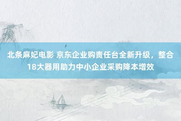 北条麻妃电影 京东企业购责任台全新升级，整合18大器用助力中小企业采购降本增效