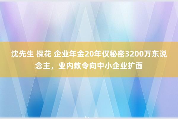 沈先生 探花 企业年金20年仅秘密3200万东说念主，业内敕令向中小企业扩面