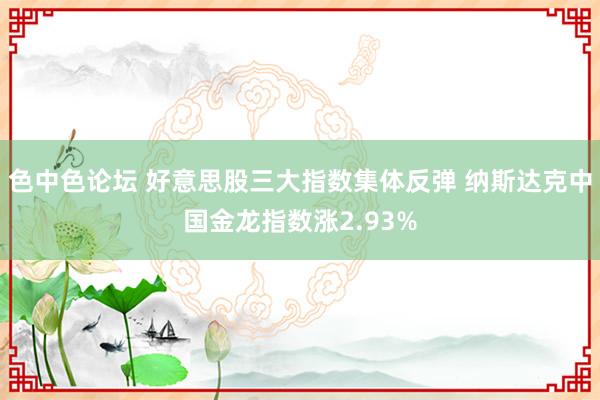 色中色论坛 好意思股三大指数集体反弹 纳斯达克中国金龙指数涨2.93%